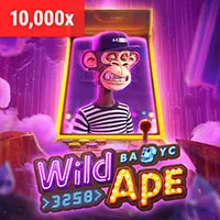 Đá gà bomwin app