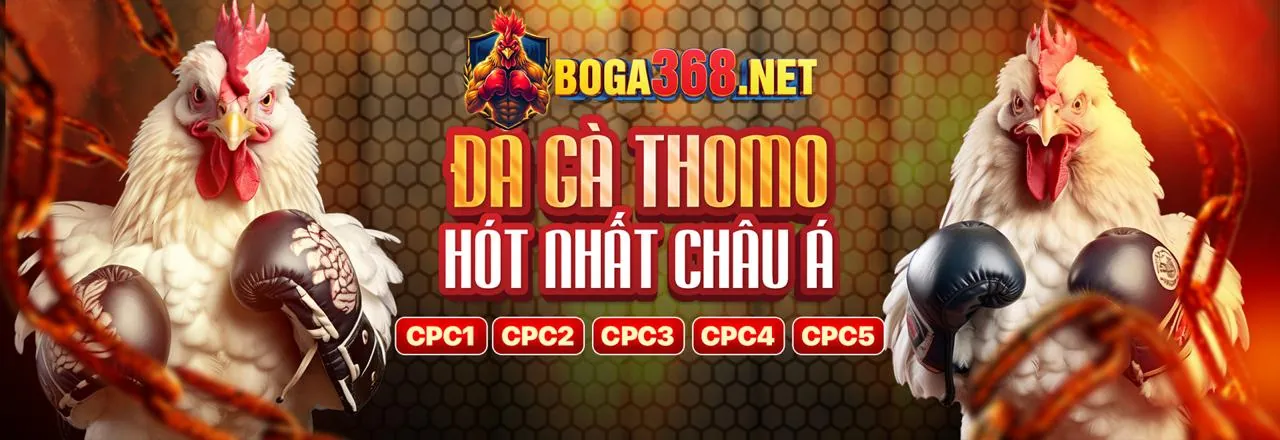 Cá cược có trách nhiệm và minh bạch